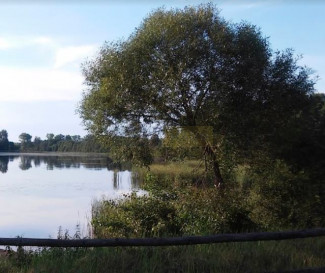 Działka Sprzedaż Warszawa