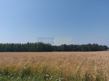 Działka Sprzedaż Zakroczym Gałachy