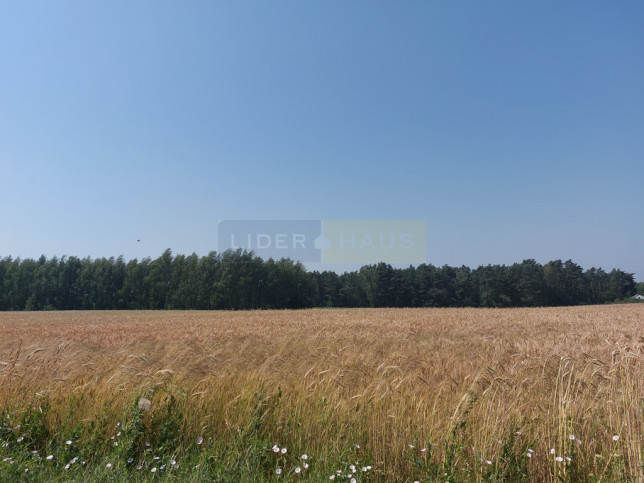 Działka Sprzedaż Zakroczym Gałachy 1