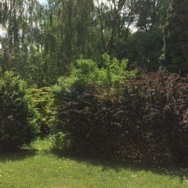 Działka Sprzedaż Czosnów