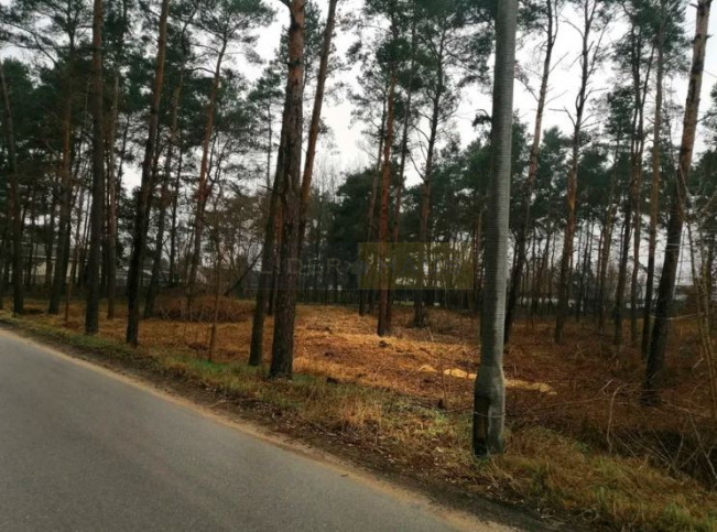 Działka Sprzedaż Czosnów 3