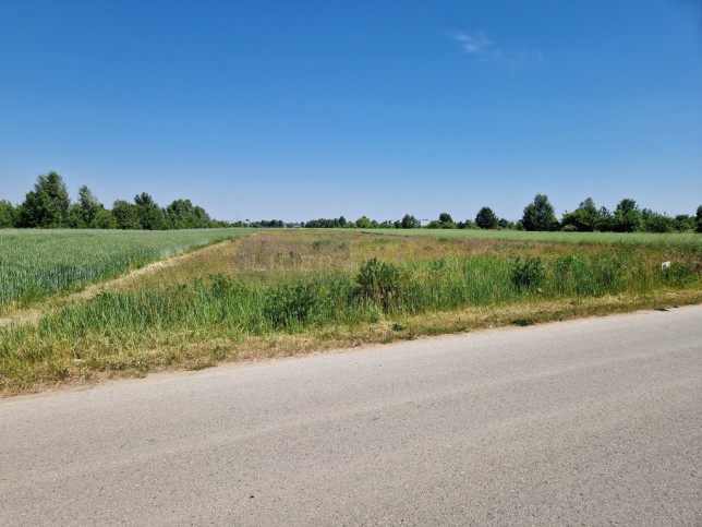 Działka Sprzedaż Cząstków Polski 6