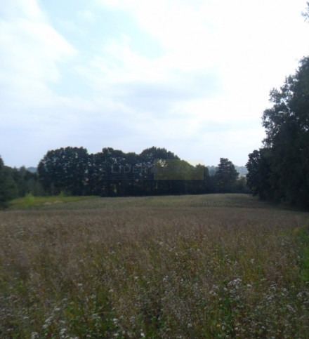 Działka Sprzedaż Wólka Przybójewska 3