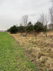 Działka Sprzedaż Krajęczyn