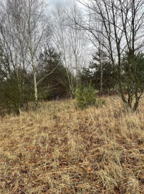 Działka Sprzedaż Krajęczyn