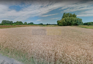 Działka Sprzedaż Łomianki