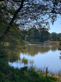 Działka Sprzedaż Serock