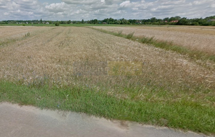 Działka Sprzedaż Kazuń Polski 2