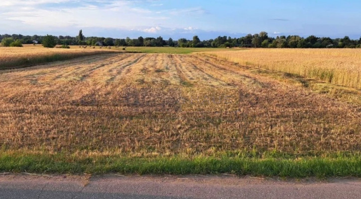 Działka Sprzedaż Kazuń Polski 3