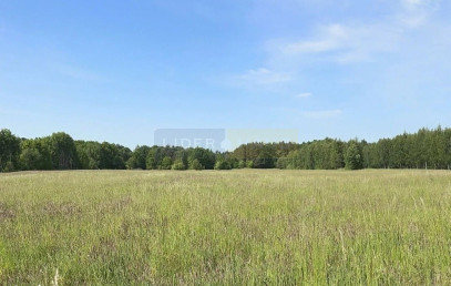 Działka Sprzedaż Zaborówek